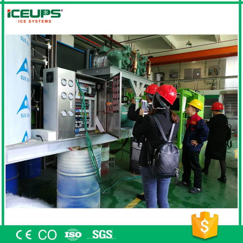 大型制冰机 iceups