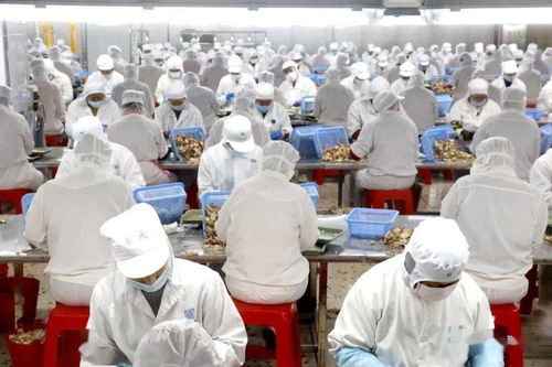 省党代表洪泰伟 建设 海上东山 融入新福建建设大局