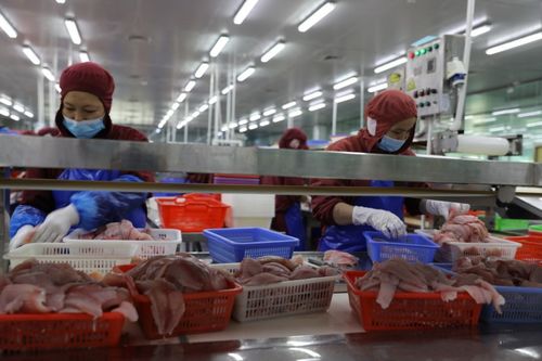 茂名 税惠春风助力驱散水产企业复苏余寒