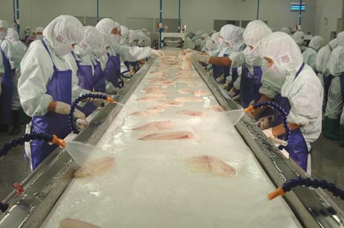 舟山73家企业被认定为2014年度水产品精深加工企业