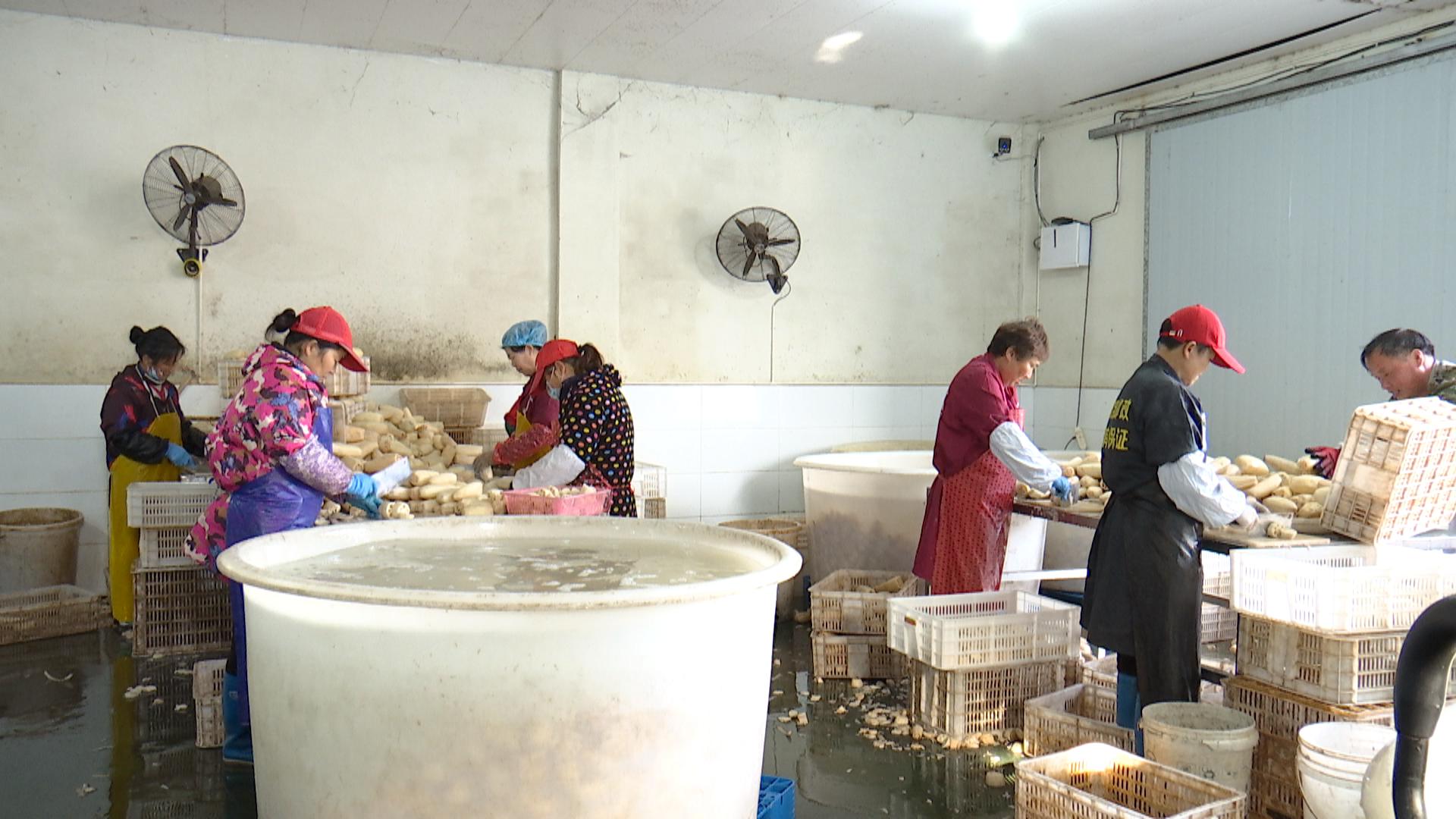 仙桃郭河镇:优服务 强链条 打造水产加工集聚区