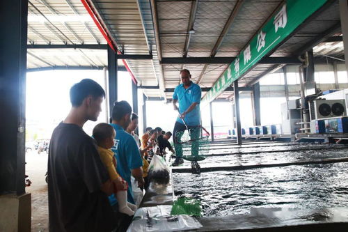 吃吃吃 宁乡这个国际海鲜水产交易中心试营业 好实惠