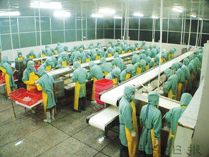 北海谋划传统水产加工业的 华丽转身