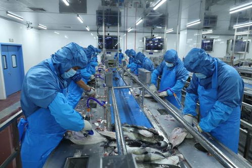 水产分拣加工中心启动试产,南沙建设 蓝色粮仓 迈入新阶段