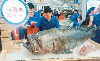 国际渔博会在福州举办 图