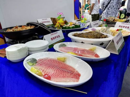 罗非鱼 巴沙鱼 海鲈鱼涨价 疫情影响水产品供应 水产预制菜助力民生供应