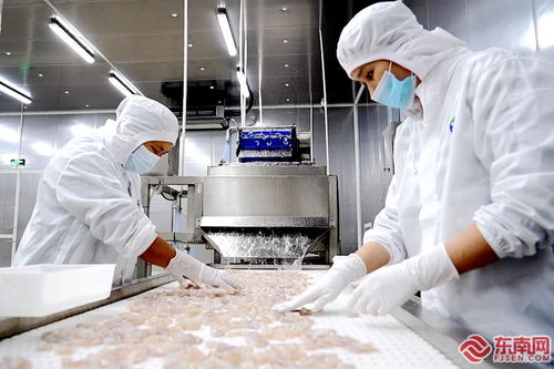 民营经济高质量发展 诏安恒晖水产 专注水产定制化加工 年产值超10亿元