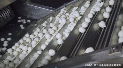 全套自动鱼丸加工设备介绍：水产深加工鱼丸生产全流程