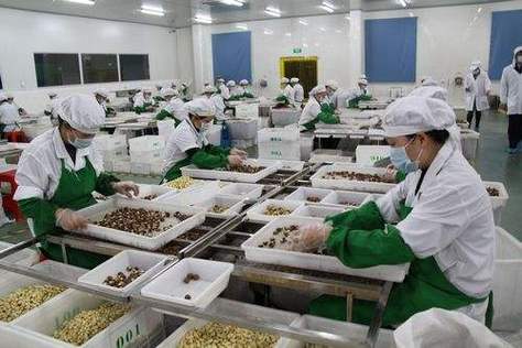 青岛青金环境工程 水产加工污水处理工艺推荐与解决方案