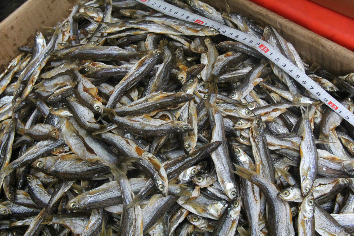 湖南优质日晒刁子鱼 水库野生干鱼的独特魅力与加工优势