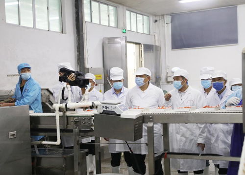 张秀隆率队赴崇左北海考察推进我区农产品及水产加工业发展