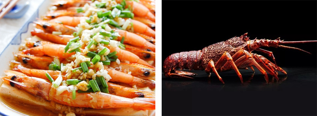 虾头副产物在饲料工业中的资源化利用与开发前景