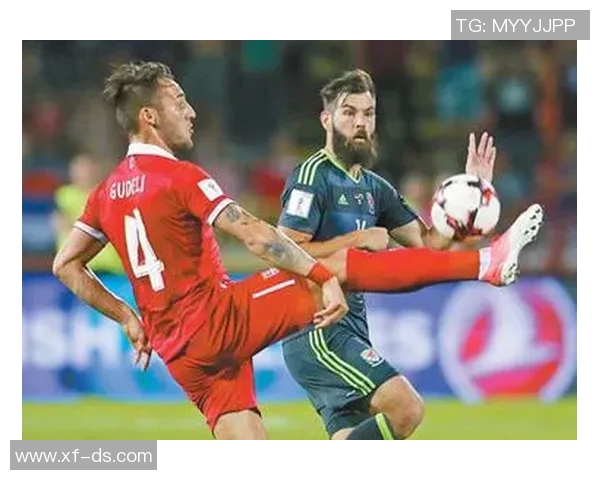 塞尔维亚与威尔士精彩对决全场录像回放及精彩瞬间分析