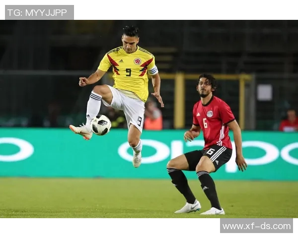 俄罗斯与埃及足球比赛在线直播精彩瞬间全程回顾与分析