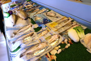 中国水产流通与加工协会海鲈分会正式成立,推动海鲈产业蓬勃发展