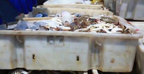 【改革开放40周年】从“手工劳作”到“机械化生产” 从“靠天吃饭”到“信息化护航”--江苏如东海洋渔业生产迈向“现代化”