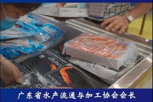 广东省水产流通与加工协会会长林国朋 海丝之路助力广州渔业