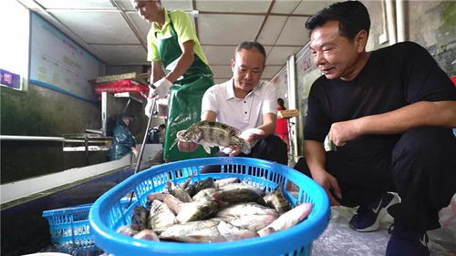 一条村百人年薪百万，水产加工背后的致富密码