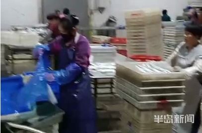 讨海记② | 码头收鱼17年，听声辨冰 一位水产加工师的绝技