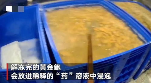 触目惊心！大连海产品加工厂两大食品黑科技曝光，消费者需警惕识别
