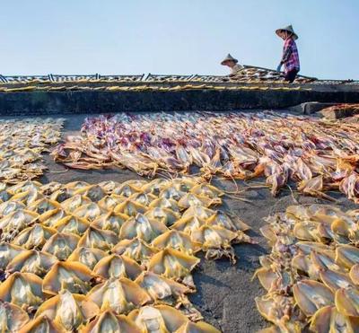 古韵犹存铜陵镇 水产加工的技艺传承与现代脉动