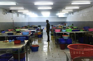 泰国海产品工厂的血泪真相 黑工与剥削阴影下的水产加工业