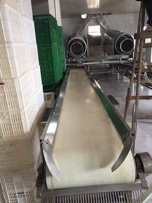 郴州非标定制50kg龙虾磅秤的收费与技术解析